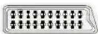 VESTEL 22PF5021L - Viewing the Connections - 1