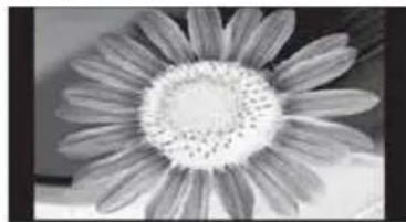 SENCOR SLE 1461M4 - Displaying a static image may cause permanent damage to the LCD panel. - 1