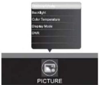 Backlight Color Temperature Display Mode DNR PICTURE