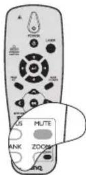 LANER MUTE ZOOM PNO