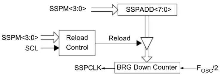 Microchip MCP19116 - FIGURE 29-32: BAUD RATE GENERATOR BLOCK DIAGRAM - 1