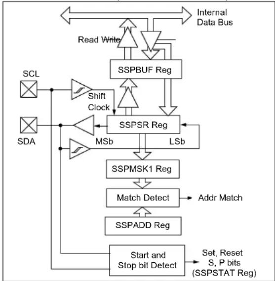 Microchip MCP19116 - MSSP Module Overview - 2