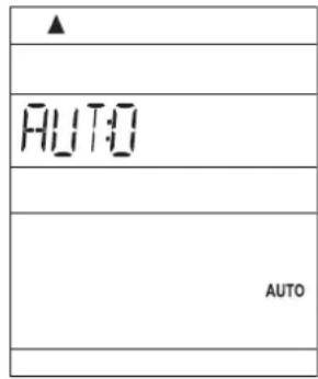 ▲ AUTO AUTO