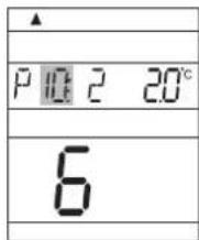 P 10:2 20°C 6