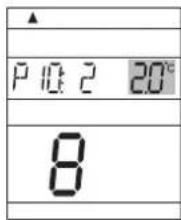 P 10:2 20°C 8
