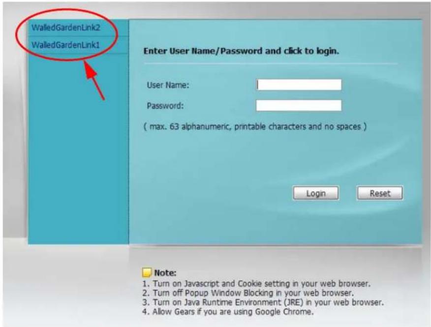 ZYXEL iCard 300U UAG5100 - Walled Garden Login Example - 1