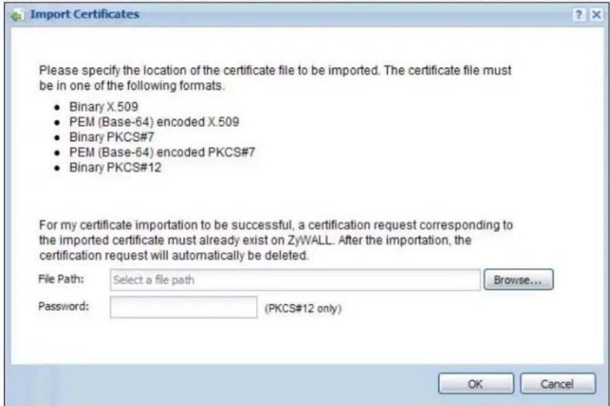 ZYXEL iCard 300U UAG5100 - The My Certificates Import Screen - 1