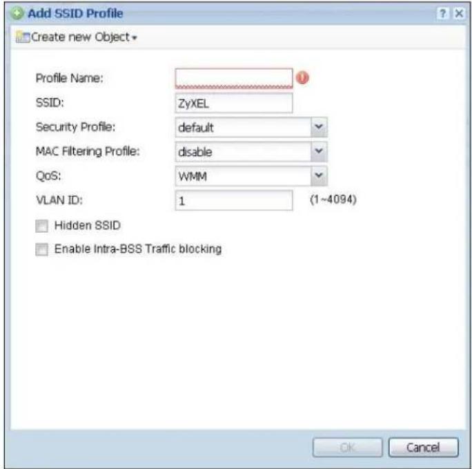 ZYXEL iCard 300U UAG5100 - Add/Edit SSID Profile - 1