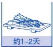 约1-2天