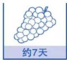 约7天