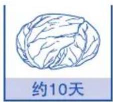 约10天