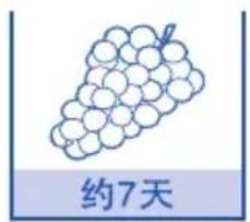 约7天