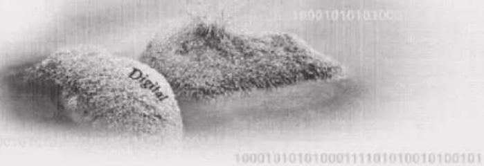 Digital 10001010101000111101010010100101