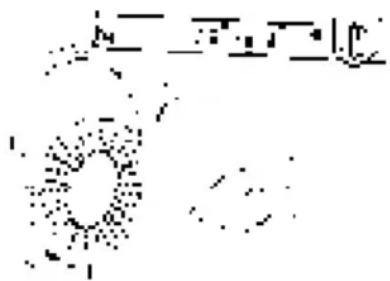 Scanned text fragment with partially visible Chinese characters and symbols, possibly from a document or form.