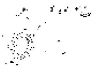 Scanned text fragment with pixelated characters and symbols, possibly from a document or form