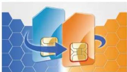 PHILIPS CTE135XDRD - MicroSD 存储卡插槽 - 1