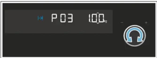 P 03 1.00 kg