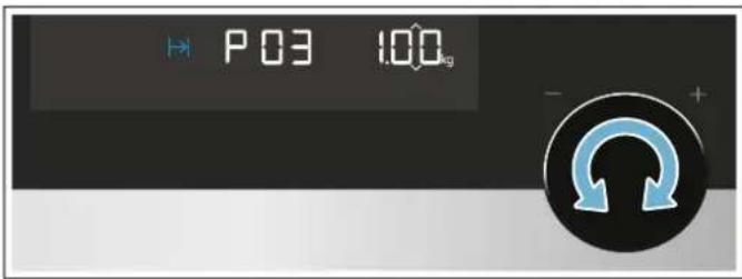 P03 1.00