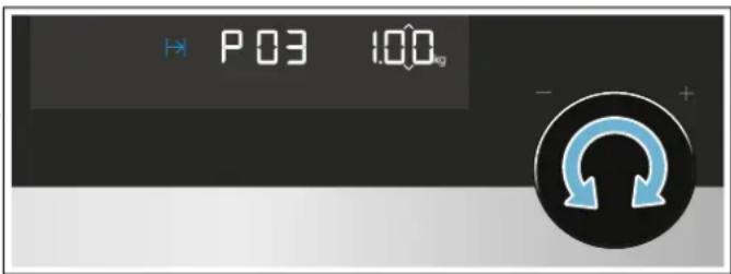 P 03 1.00