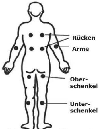 Rücken Arme Ober- schenkel Unter- schenkel