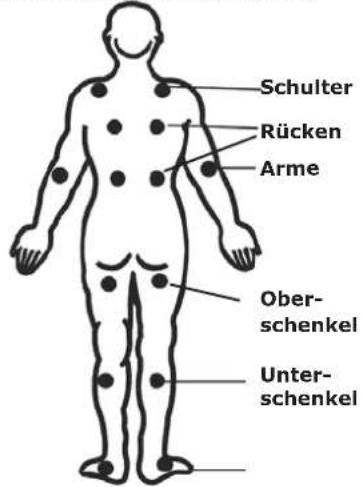 Schulter Rücken Arme Ober- schenkel Unter- schenkel