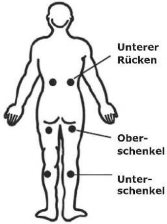 Unterer Rücken Ober- schenkel Unter- schenkel