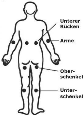 Unterer Rücken Arme Ober- schenkel Unter- schenkel
