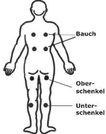 Bauch Ober- schenkel Unter- schenkel