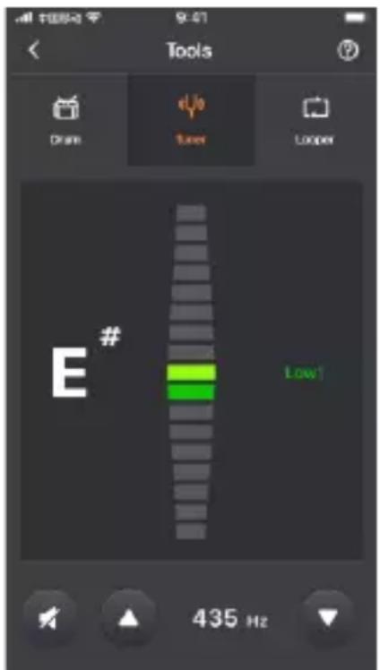 Tools Drum Tunes Looper E# Low1 435 Hz