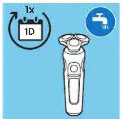 1x 1D