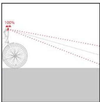 100%
