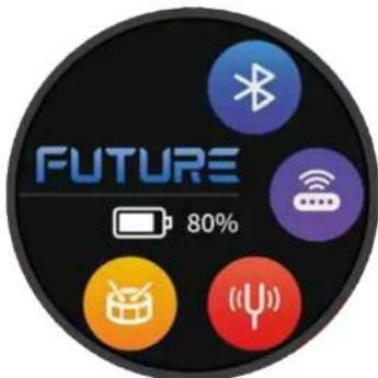 FUTURE 80%
