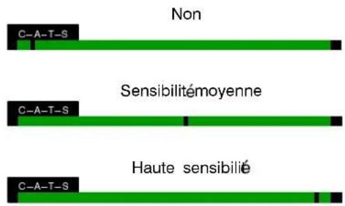 PANASONIC TC-14S3RF - C--A--T--S : sytème automatique de suivi du contraste - 1