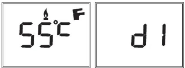 55°C d1