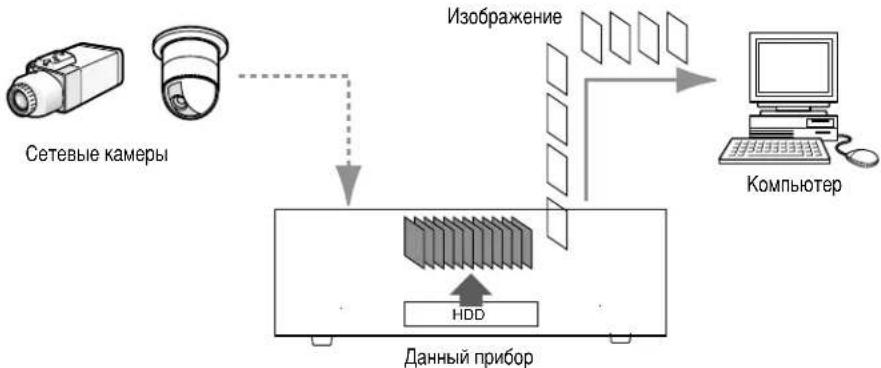 PANASONIC WJ-ND200 - Воспроизведение - 1
