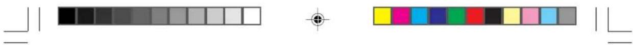 IIYAMA ProLite H481S - CE MARKING DECLARATION OF CONFORMITY - 1