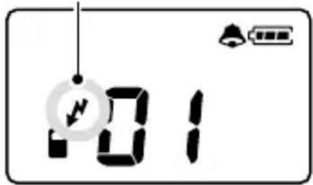 101