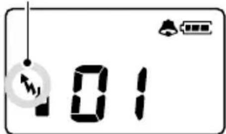 101