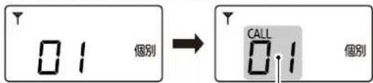 01 個別 → CALL 01 個別