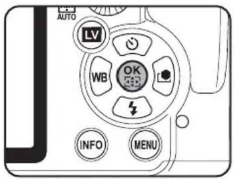 AUTO LV WB OK INFO MENU