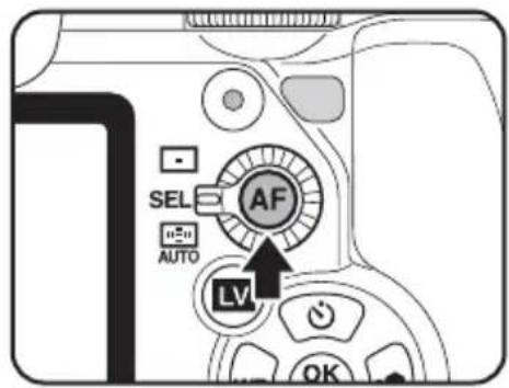 SEL AF AUTO LV