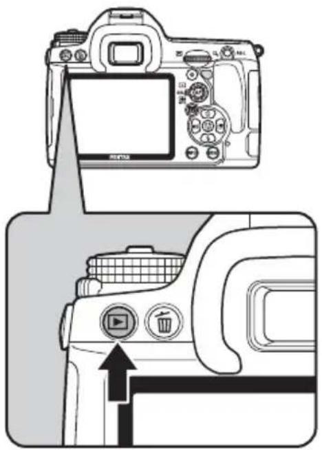 RICOH K-7 - ボタンを押す - 1