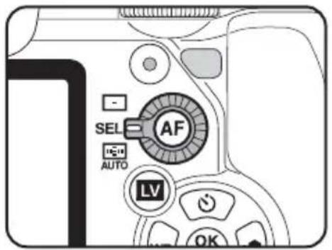 ACCELLENTIN - SEL AF AUTO LV OK