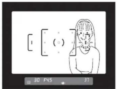 RICOH K-7 - ファインダー内の任意の位置にピントを合わせる - 4