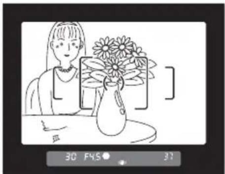 RICOH K-7 - 光学プレビューを表示する - 1