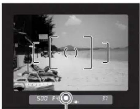 RICOH K-7 - ファインダーをのぞきながら シャッターボタンを半押しする - 2