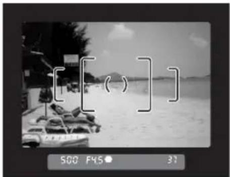 [ ( ) ] 500 F45 31