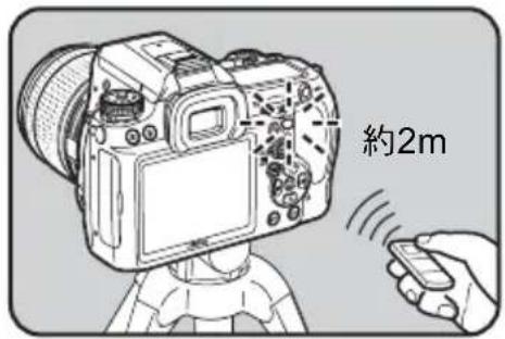 約2m