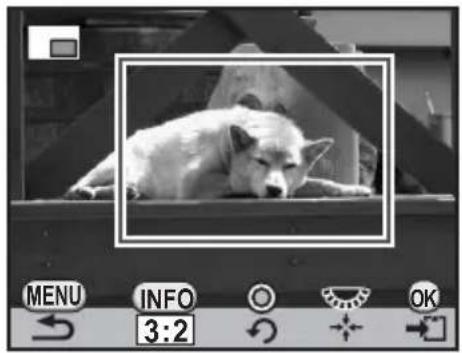 RICOH K-7 - トリミングする大きさと範囲を決める - 1
