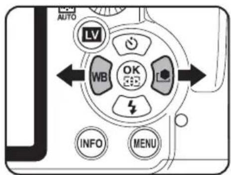 AUTO LV WB OK INFO MENU